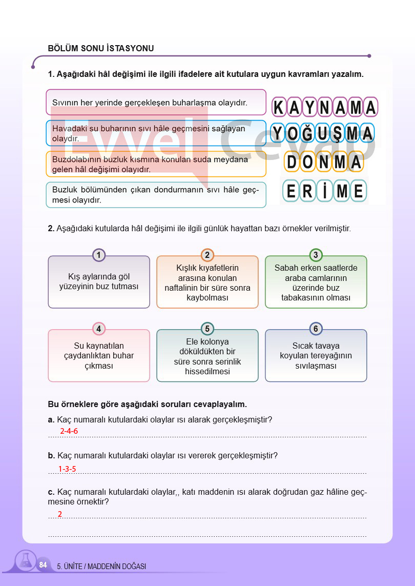 5-sinif-fen-bilimleri-ders-kitabi-cevaplari-meb-2-kitap-sayfa-84