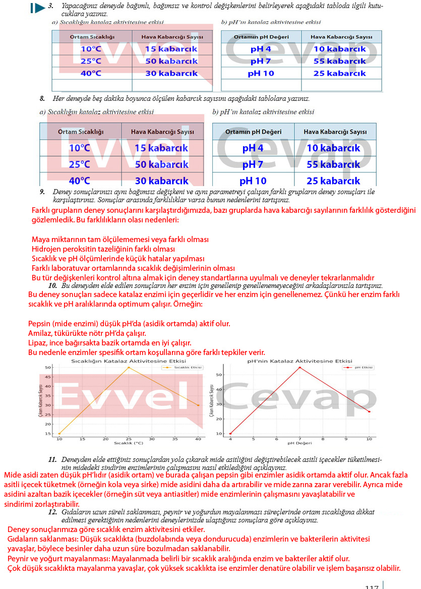 9-sinif-biyoloji-ders-kitabi-cevaplari-sayfa-117