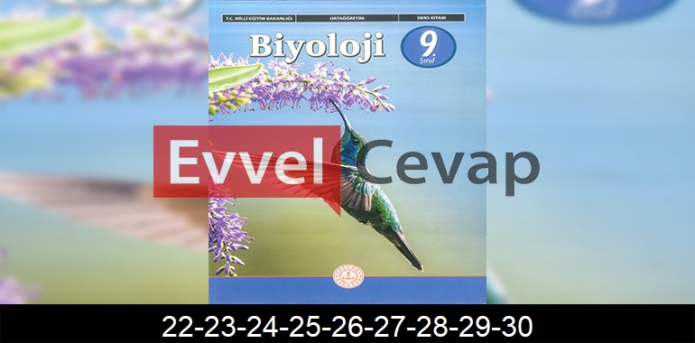 9. Sınıf Biyoloji Ders Kitabı Cevapları Sayfa 22-23-24-25-26-27-28-29-30