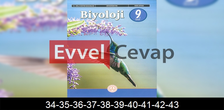 9. Sınıf Biyoloji Ders Kitabı Cevapları Sayfa 34-35-36-37-38-39-40-41-42-43