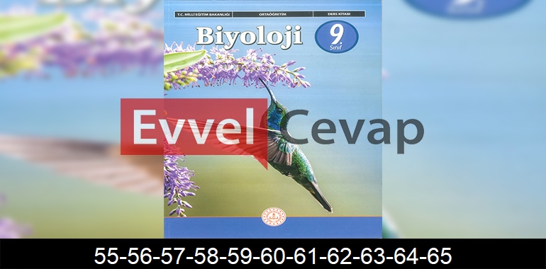 9. Sınıf Biyoloji Ders Kitabı Cevapları Sayfa 55-56-57-58-59-60-61-62-63-64-65