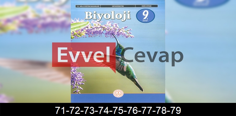 9. Sınıf Biyoloji Ders Kitabı Cevapları Sayfa 71-72-73-74-75-76-77-78-79