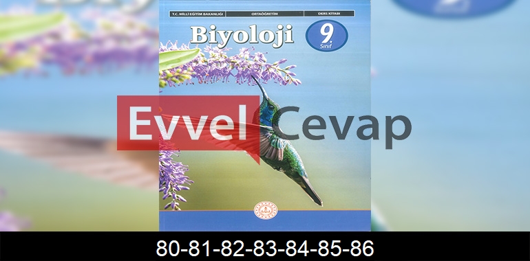 9. Sınıf Biyoloji Ders Kitabı Cevapları Sayfa 80-81-82-83-84-85-86