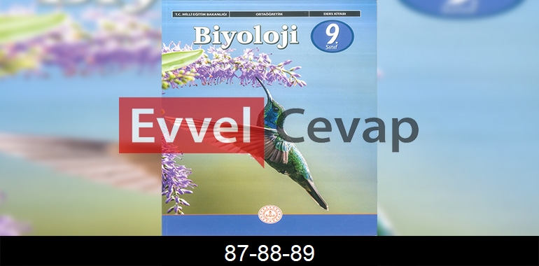 9. Sınıf Biyoloji Ders Kitabı Cevapları Sayfa 87-88-89