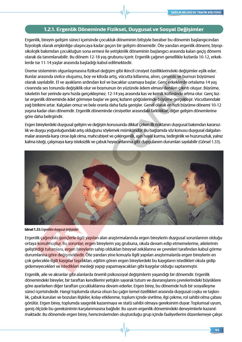 9-sinif-saglik-bilgisi-ve-trafik-kulturu-ders-kitabi-cevaplari-sayfa-45