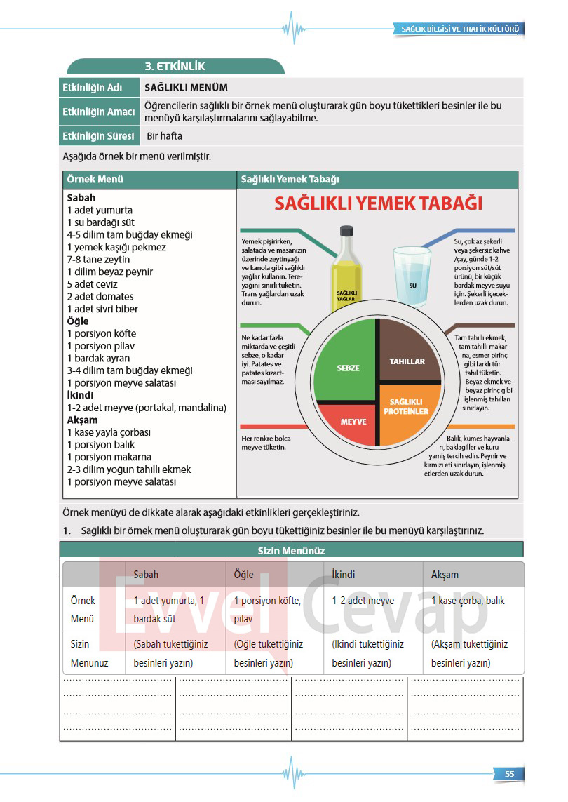 9-sinif-saglik-bilgisi-ve-trafik-kulturu-ders-kitabi-cevaplari-sayfa-55