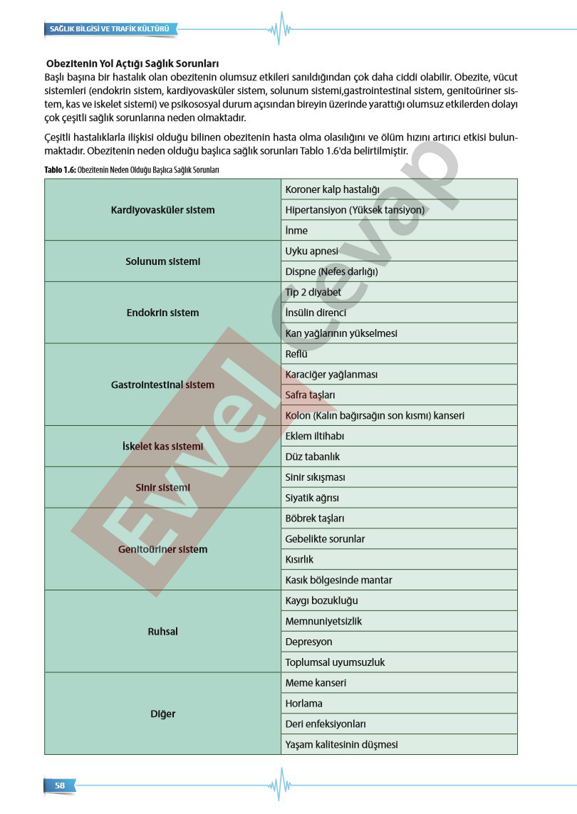 9-sinif-saglik-bilgisi-ve-trafik-kulturu-ders-kitabi-cevaplari-sayfa-58