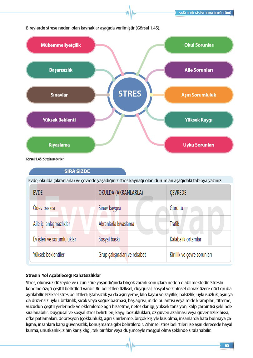 9-sinif-saglik-bilgisi-ve-trafik-kulturu-ders-kitabi-cevaplari-sayfa-65
