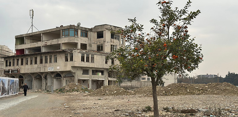 Deprem ve Hayatta Kalma