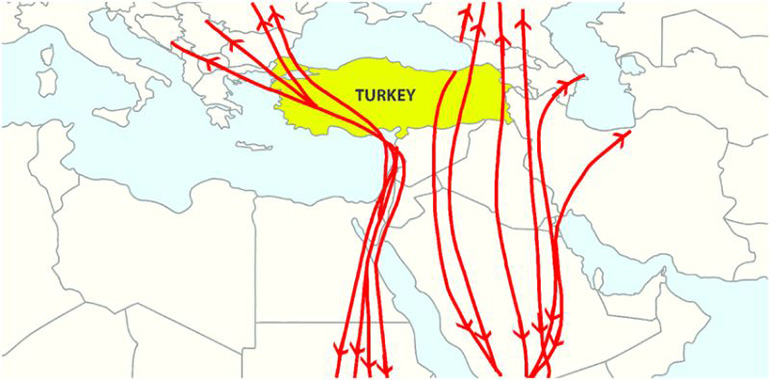 Kuşların Göç Haritaları