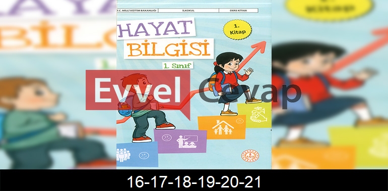 1. Sınıf Hayat Bilgisi 1. Kitap Cevapları Sayfa 16-17-18-19-20-21