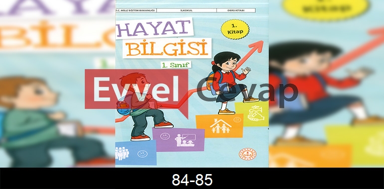 1. Sınıf Hayat Bilgisi 1. Kitap Cevapları Sayfa 84-85