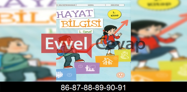 1. Sınıf Hayat Bilgisi 1. Kitap Cevapları Sayfa 86-87-88-89-90-91
