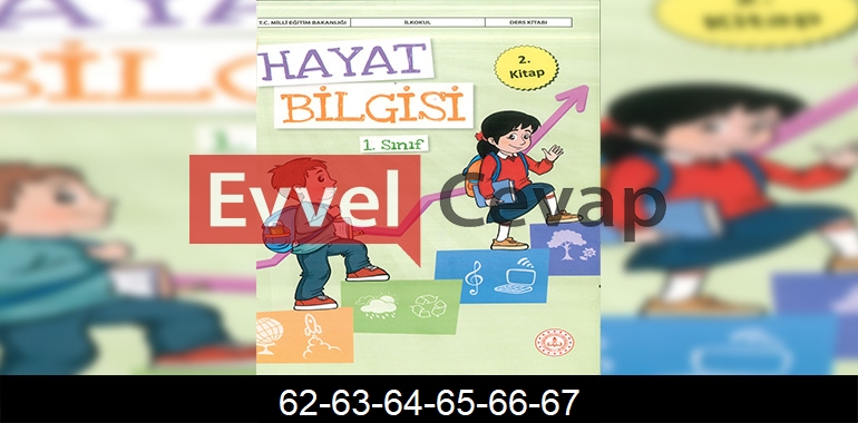1. Sınıf Hayat Bilgisi 2. Kitap Cevapları Sayfa 62-63-64-65-66-67