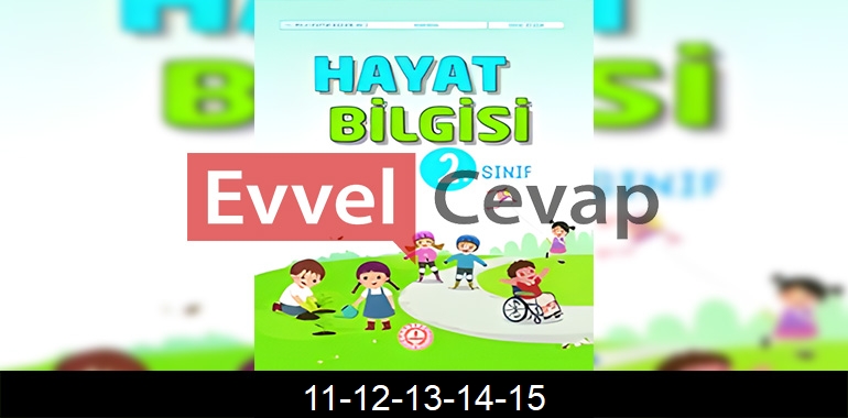 2. Sınıf Hayat Bilgisi Kitabı Cevapları Sayfa 11-12-13-14-15