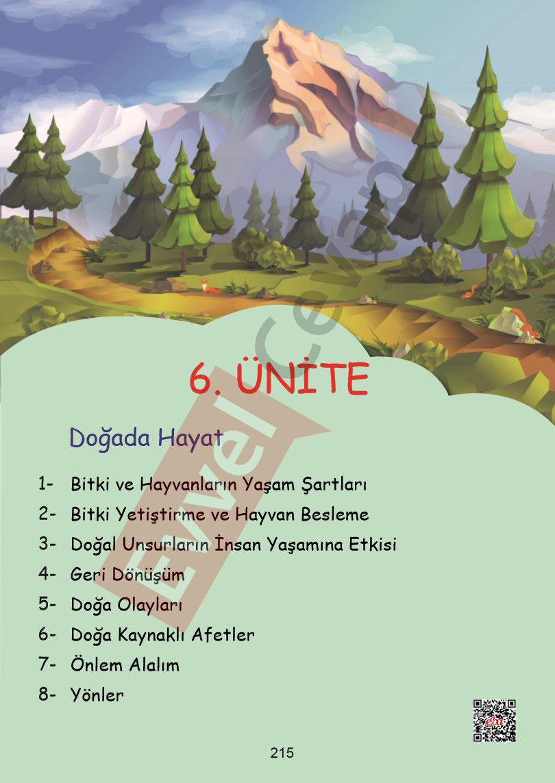 2-sinif-hayat-bilgisi-kitabi-cevaplari-sayfa-215
