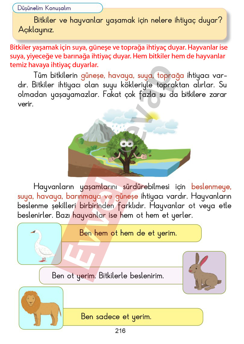 2-sinif-hayat-bilgisi-kitabi-cevaplari-sayfa-216