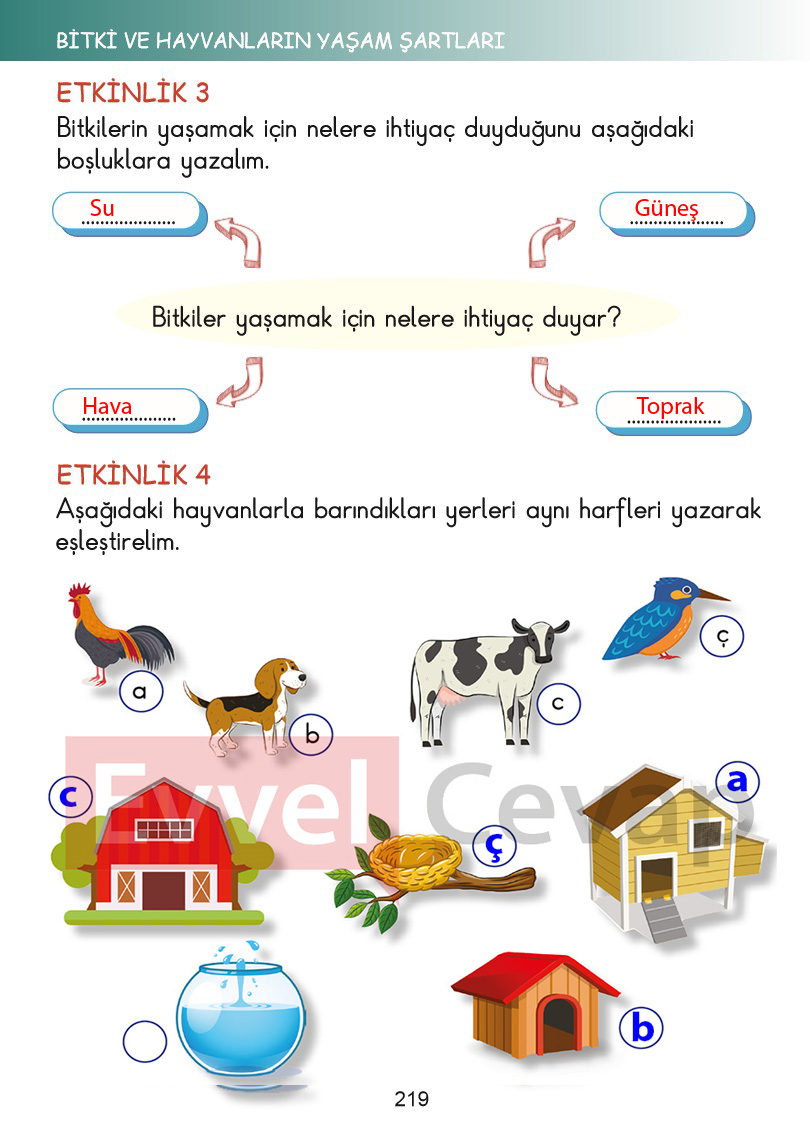 2-sinif-hayat-bilgisi-kitabi-cevaplari-sayfa-219