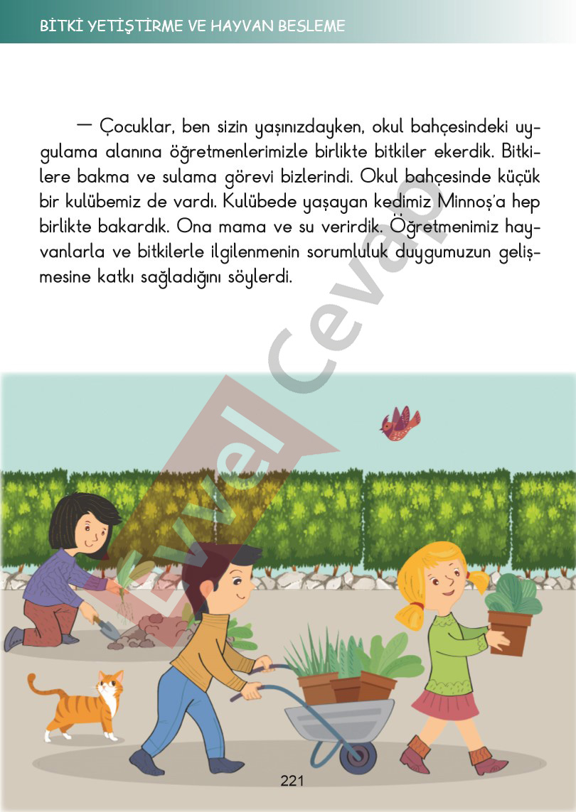 2-sinif-hayat-bilgisi-kitabi-cevaplari-sayfa-221