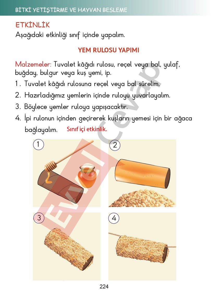 2-sinif-hayat-bilgisi-kitabi-cevaplari-sayfa-224