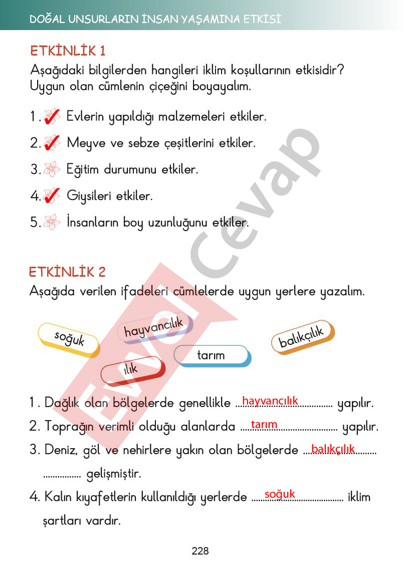 2-sinif-hayat-bilgisi-kitabi-cevaplari-sayfa-228