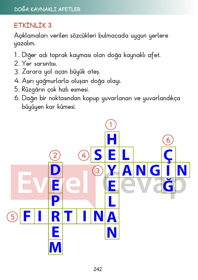 2-sinif-hayat-bilgisi-kitabi-cevaplari-sayfa-242