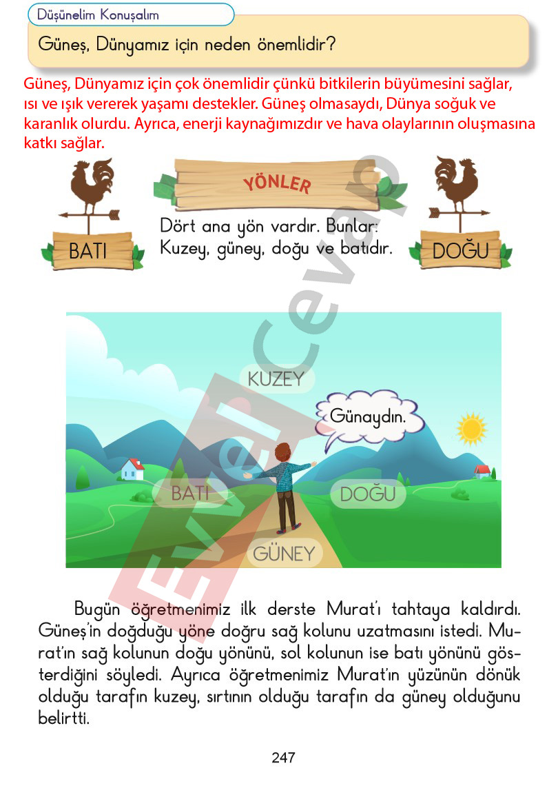 2-sinif-hayat-bilgisi-kitabi-cevaplari-sayfa-247