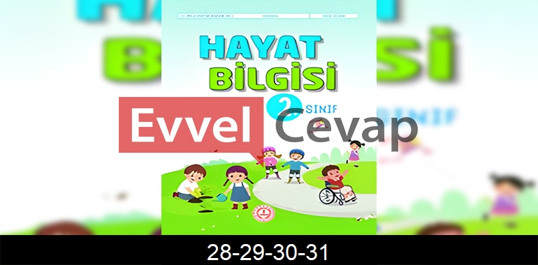2. Sınıf Hayat Bilgisi Kitabı Cevapları Sayfa 28-29-30-31