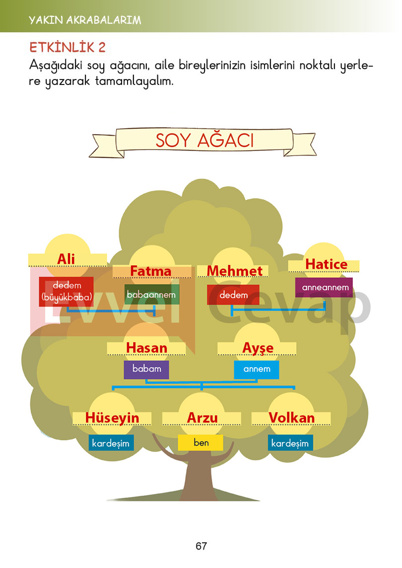 2-sinif-hayat-bilgisi-kitabi-cevaplari-sayfa-67