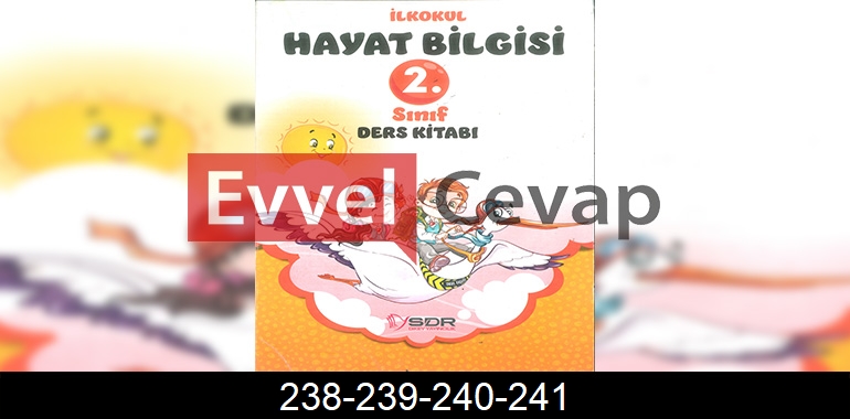 2. Sınıf Hayat Bilgisi SDR Dikey Yayıncılık Cevapları Sayfa 238-239-240-241