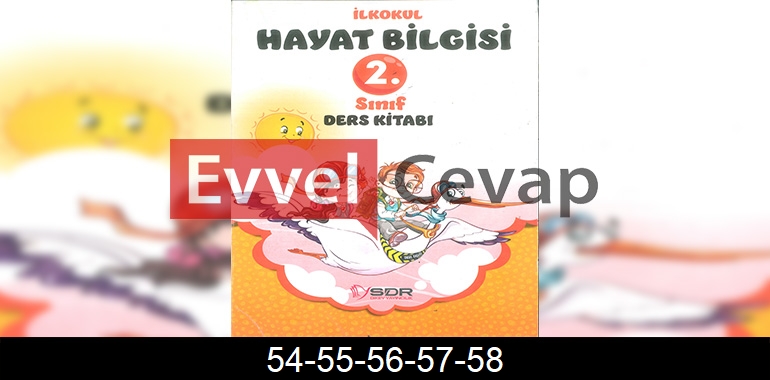 2. Sınıf Hayat Bilgisi SDR Dikey Yayıncılık Cevapları Sayfa 54-55-56-57-58