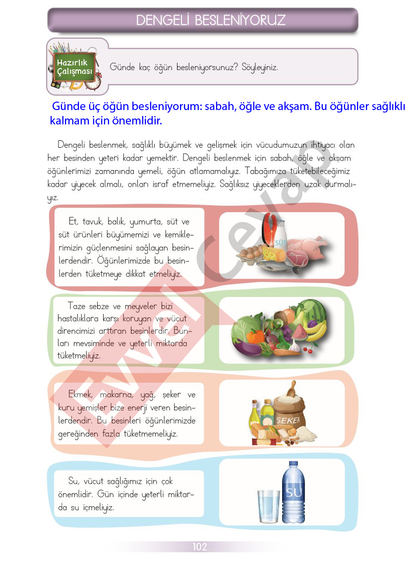 3-sinif-hayat-bilgisi-ders-kitabi-cevaplari-sayfa-102
