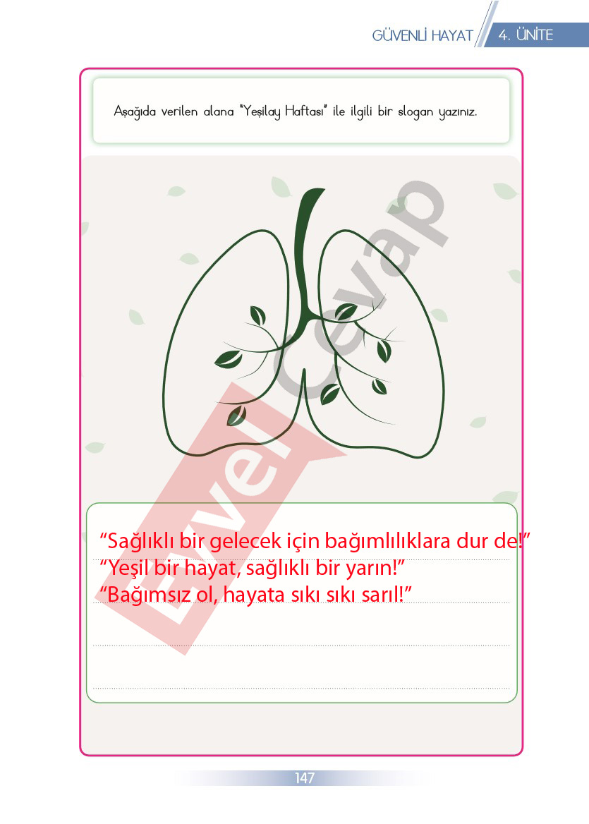 3-sinif-hayat-bilgisi-ders-kitabi-cevaplari-sayfa-147