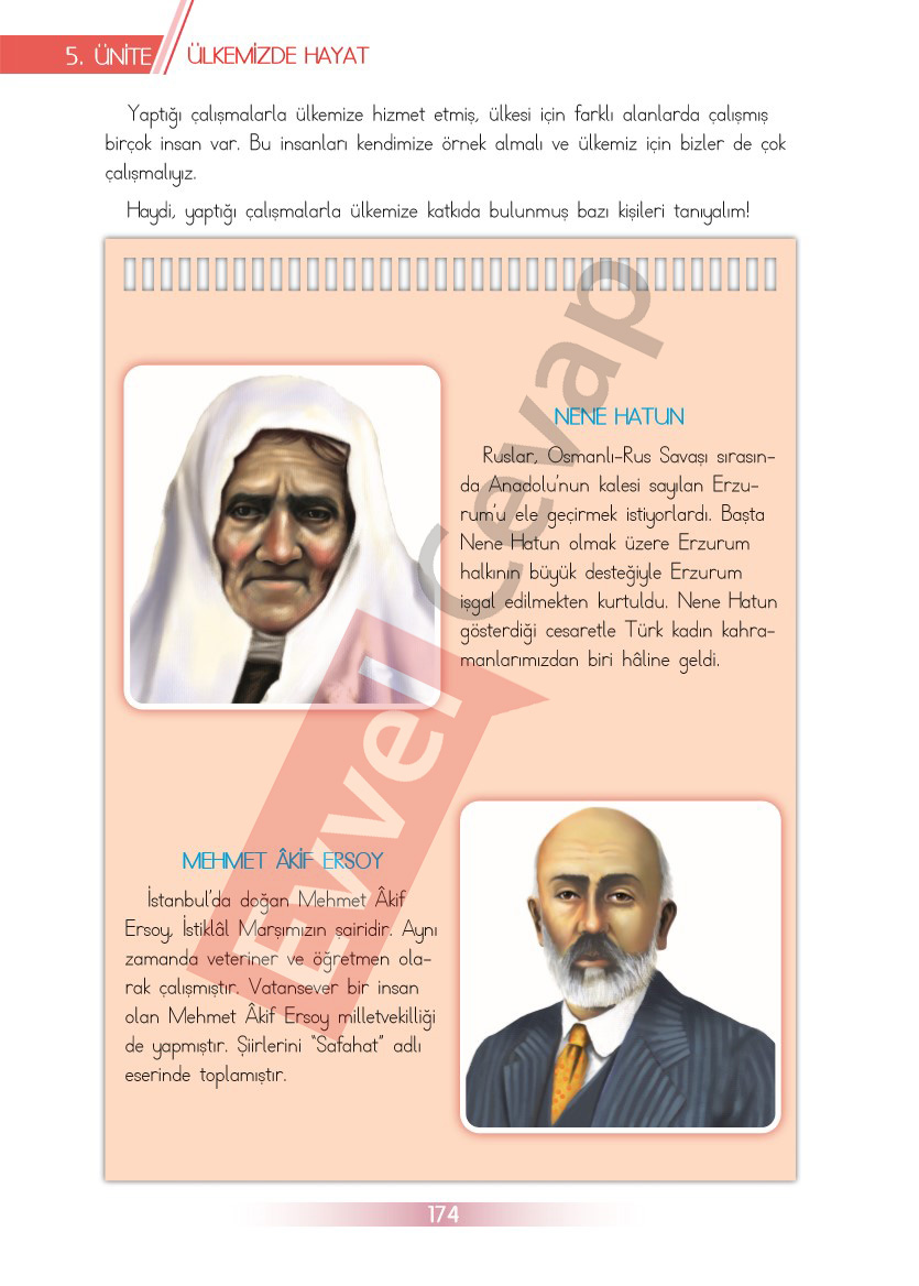 3-sinif-hayat-bilgisi-ders-kitabi-cevaplari-sayfa-174