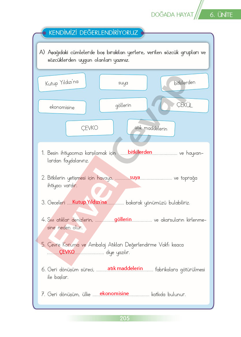 3-sinif-hayat-bilgisi-ders-kitabi-cevaplari-sayfa-205