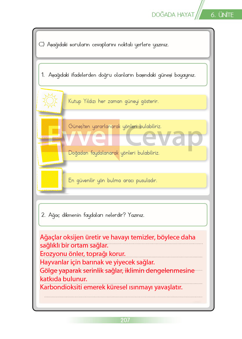 3-sinif-hayat-bilgisi-ders-kitabi-cevaplari-sayfa-207