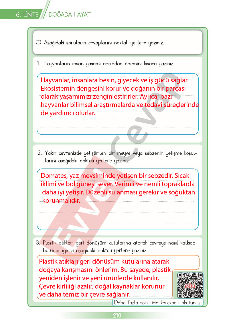 3-sinif-hayat-bilgisi-ders-kitabi-cevaplari-sayfa-210