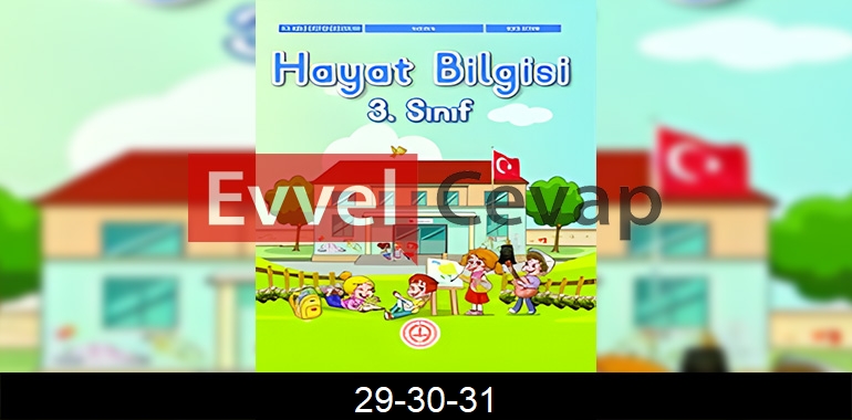 3. Sınıf Hayat Bilgisi Ders Kitabı Cevapları Sayfa 29-30-31