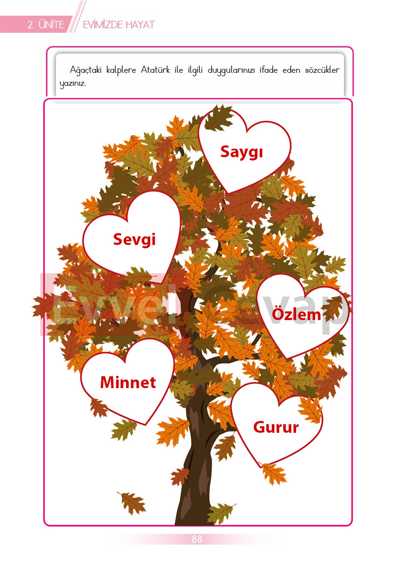 3-sinif-hayat-bilgisi-ders-kitabi-cevaplari-sayfa-88