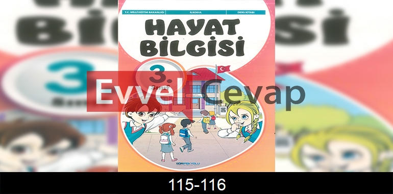 3. Sınıf Hayat Bilgisi Sdr İpekyolu Cevapları Sayfa 115-116