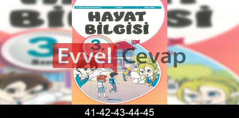 3. Sınıf Hayat Bilgisi Sdr İpekyolu Cevapları Sayfa 41-42-43-44-45