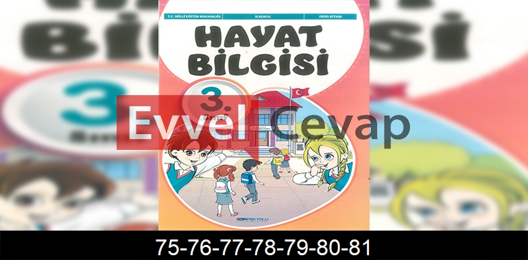3. Sınıf Hayat Bilgisi Sdr İpekyolu Cevapları Sayfa 75-76-77-78-79-80-81