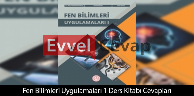 Sistemdeki geri bildirim süreci hangi amaçla gerçekleştirilir?