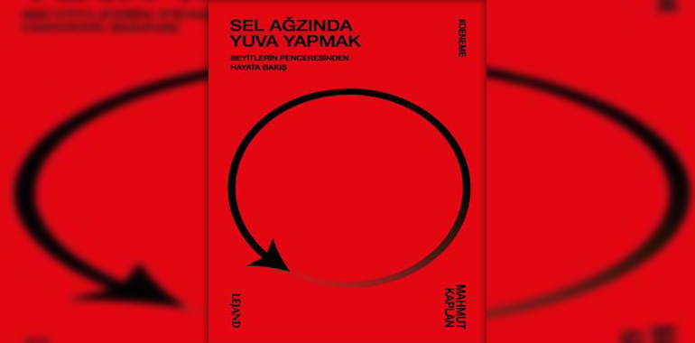 Sel Ağzında Yuva Yapmak - Beyitlerin Penceresinden Hayata Bakış Kitap Özeti Mahmut Kaplan