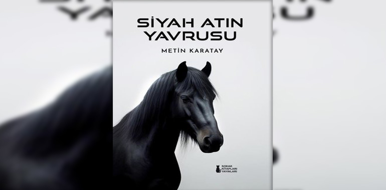 Siyah Atın Yavrusu Kitap Özeti Metin Karatay