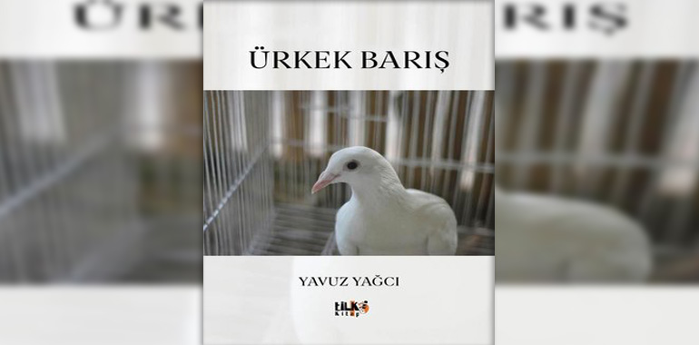 Ürkek Barış Kitap Özeti Yavuz Yağcı
