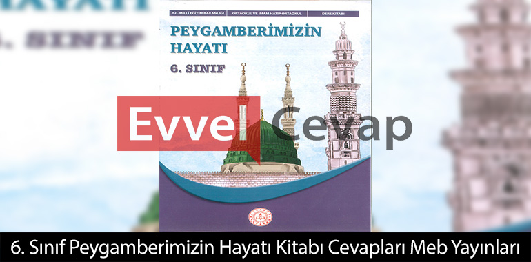 Mekkeli müşrikler tarafından Haşimoğulları’na ekonomik ve sosyal baskı yapılan döneme verilen isim nedir?
