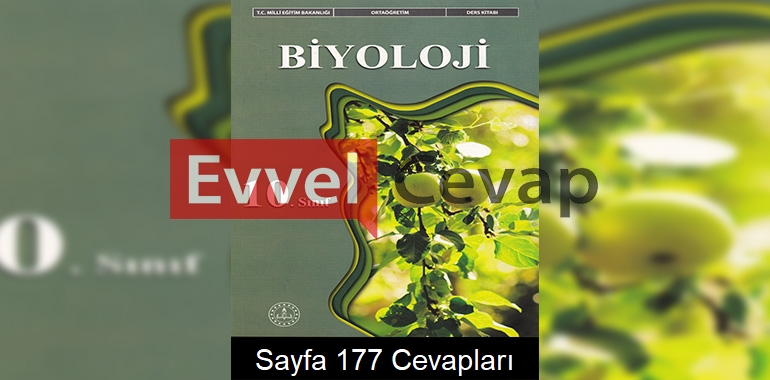 10. Sınıf Biyoloji Ders Kitabı Meb Yayınları Cevapları Sayfa 177