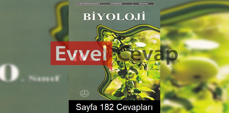10. Sınıf Biyoloji Ders Kitabı Meb Yayınları Cevapları Sayfa 182