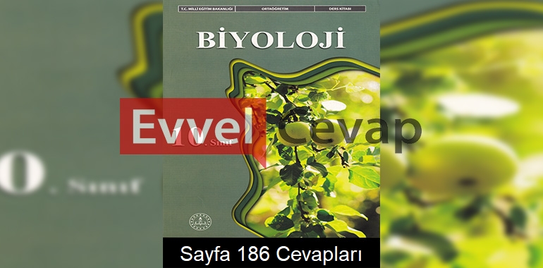 10. Sınıf Biyoloji Ders Kitabı Meb Yayınları Cevapları Sayfa 186